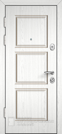 Фото «Дверь с терморазрывом №55» в Чехову