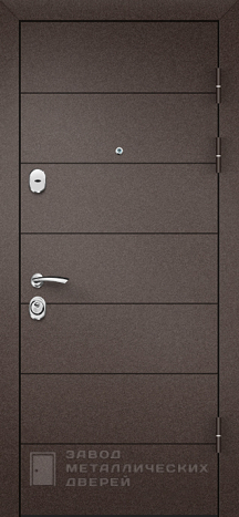 Фото «Дверь с зеркалом №58» в Туле